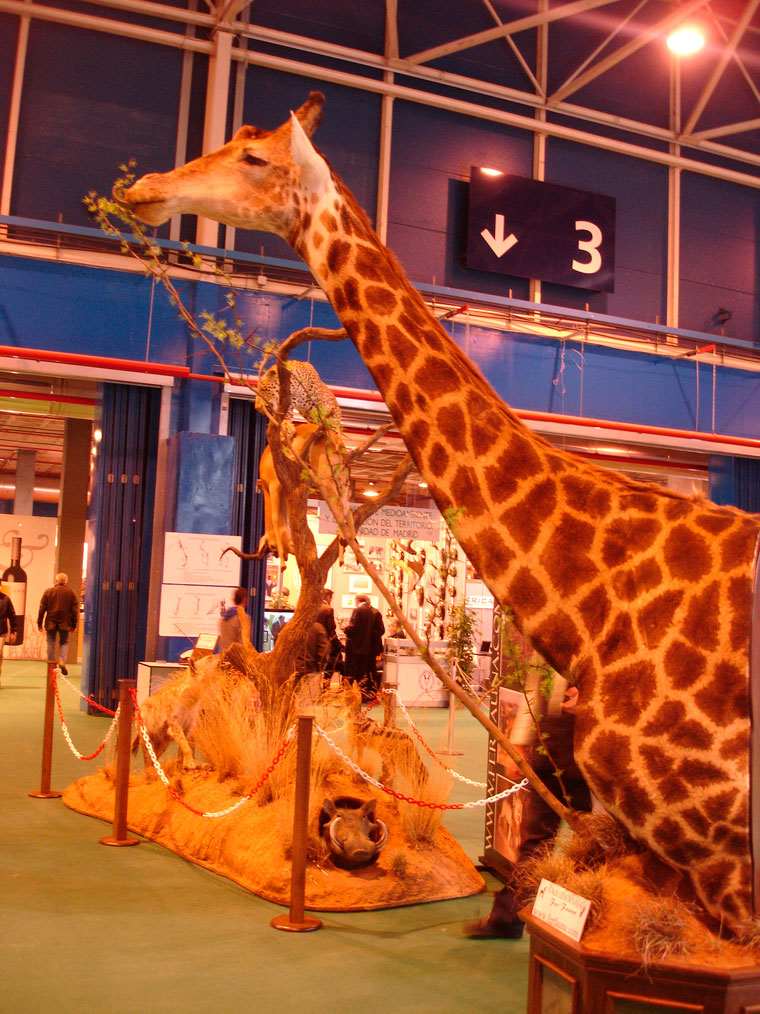 Detalle girafa en peana