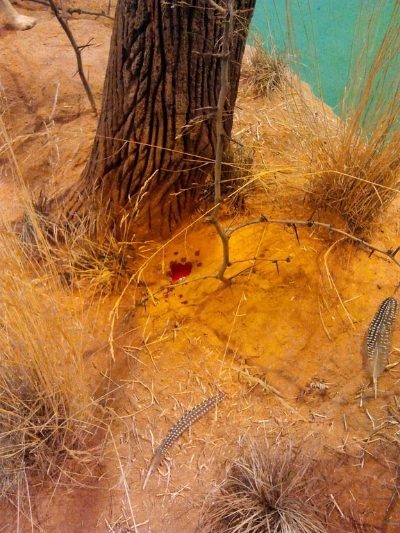 Detalle tronco artificial y sangre del impala