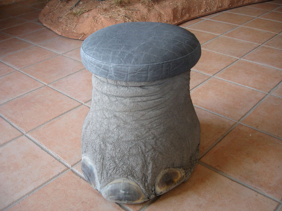 Piel de asiento de elefanta